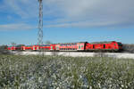 245 008 am 22.11.24 von Mühldorf(Oberbay) nach München Hauptbahnhof bei Hörlkofen.