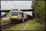 Maxima CC 30 263001-0 von VTLT war am 20.09.2024 im Werksverkehr des Stahlwerks Georgsmarienhütte zu sehen. Um 17.40 Uhr rollte sie mit einem Leerzug in den Bahnhof Hasbergen. Eine halbe Stunde später durfte sie dann auf der Rollbahn in Richtung Münster weiter fahren.