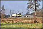 Solo kam am 31.1.2025 die Maxima CC 30 263001 aus Georgsmarienhütte zurück und war hier um 10.58 Uhr auf der Rollbahn in Hasbergen nach Osnabrück unterwegs.