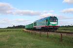 SBW/TRG 264 005 (Maxima 40cc) als DGS69360 beim Düngemittel entladen in Jübek (AJ).
Hier beim ausziehen in das Husumer Gleis, da bei der Zuglänge der Bahnübergang auf der Strecke (Hamburg-Neumünster)-Rendsburg-Flensburg ausgelöst werden würde und dies ein vollständiges überfahren dessen notwendig machen würde.