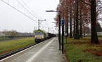 Die Class 66 6605 von Captrain kommt mit viel Dieselpower durch Geleen-Lutterade(NL) mit einem langen Kohlenzug aus Born(NL) nach Bressoux(B)/Bettembourg(L) und fährt in Richtung Maastricht(NL),Vise(B). 
Aufgenommen in Geleen-Lutterade(NL). 
Bei Regenwetter am Kalten Vormittag vom 5.1.2019.
Und das ist mein 9500tes Bahnbild bei http://WWW.Bahnbilder de 