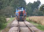 Die V100 der SWEG auf dem Weg nach Bhl (Baden) mit Waggons voll mit Schotter: An der Stelle, an der ich stehe, wurde das Gleisbett erneuert.