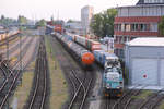 BEHALA 20 (277 406) + EGP 140 627 // Berlin Westhafen // 24. Mai 2019
