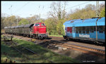 Am Ortsrand von Hasbergen begegnet der ET Sonderzug zum Haller Willem mit Lok V 65001 von ODF am 5.5.2016 um 08.25 Uhr dem nach Münster ausfahrenden ET 007 der Westfalenbahn.