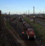 Das Brummen der 290 504 - 0 durchbricht die sonnabendliche Stille am Gterbahnhof Leipzig Engelsdorf.09.11.2013 09:18 Uhr