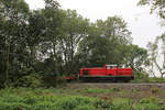 DB Cargo 294 614 // Im Dortmunder Fredebaumpark // 5. September 2014 
