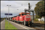 Bahnhof Wabern am 4.10.2024: Ein Diesel Doppel vor einem Güterzug auf einer Hauptstrecke sieht man heutzutage nicht sehr oft.