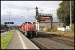 Bahnhof Wabern am 4.10.2024: Ein Diesel Doppel vor einem Güterzug auf einer Hauptstrecke sieht man heutzutage nicht sehr oft. Insofern war ich überrascht, als ich 294888-3 mit 294577-2 um 10.29 Uhr im Bahnhof Wabern antraf. Der Zug war in Richtung Kassel unterwegs und hielt für kurze Zeit Betriebspause in Höhe des Stellwerks WF.