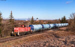 294 805 mit dem GAGC 60244 (Hausach - Rammelswiesen) bei Marbach 10.1.25