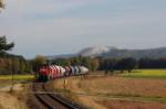 294 660 mit Gterzug am 09.10.2009 bei Hirschau (Strecke Amberg-Schnaittenbach)