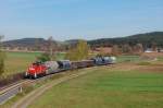 294 676 am 29.10.2010 mit Gterzug bei Godlricht (Strecke Amberg-Schnaittenbach)