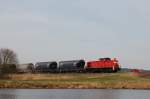 294 799 am 25.03.2011 mit Gterzug bei Schweighof (Strecke Amberg-Schnaittenbach)

