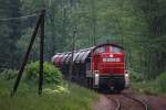 294 669 am 12.6.12 mit einem Kalkzug im Angertal in Hhe Auer Mhle.