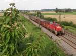 294 620-0 zu sehen am 06.08.14 in Neu Ulm.