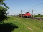 294 887-5 zu sehen am 05.06.15 in Neu-Ulm.