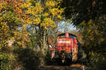 Herbst im Primstal: 294 776-0 mit dem Limbacher Coilzug auf dem Weg nach Dillingen. Abgelichtet am 23.10.2024 in Schmelz