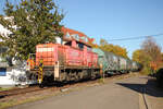 Herbst im Primstal: 294 776-0 mit dem Limbacher Coilzug auf dem Weg nach Dillingen. Abgelichtet am 23.10.2024 in Schmelz