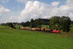 294 767 mit FZ 56429 in Grwangs (13.08.2007)