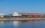 295 072 mit einem Drahtrollenzug und 294 728 mit Rilns im Kehler Hafen 20.9.24