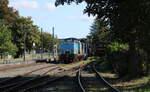 Die ehem. Werklok 3 (LEW 12624) vom K+S Kali Werk Zielitz am 30.09.2023 bei der MaLoWa in Benndorf. Von einem Bahnbergang aus fotografiert.