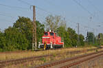 363 147 kehrt nach getaner Rangierarbeit zurück nach Seddin. Fotografiert am 18.09.24 in Saarmund.