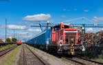 364 649 der BM Bahndienste mit einem Hackschnitzelzug im Kehler Hafen 6.9.24  Das Bild entstand von einem Bü aus, der zum Aufnahmezeitpunkt natürlich geöffnet war.