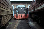  David zwischen 2 x Goliath : 100 773 am 19.09.1991 eingezwängt im Bw. Leipzig-Wahren.