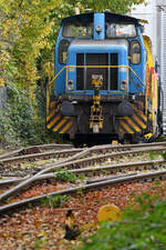 Mitte Oktober 2024 stand diese Henschel DHG 500 C Werkslokomotive auf dem Gelände der Alstrom Reuschling Service GmbH in Hattingen.