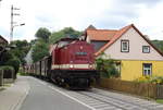 Harzkamel im Straßenbahndienst.