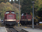 2  Kamele  in Drei Annen Hohne, währendessen links im Bild  199 872-3 ausserplanmäßig einen Personenzug zum Brocken befördert, wartet 199 872-9 auf den nächtlichen Einsatz mit