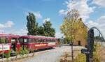 Mainschleifenbahn__Am 30. September 1991 wurde die Brücke über den Main, zwischen Astheim und Volkach Bhf.für den Schienenverkehr  aus technischen Gründen  gesperrt, nachdem am selben Tag zum letzten Mal ein Ölzug vom Tanklager Volkach das Bauwerk überquert hatte. Seit dem endet die Strecke am westlichen Mainufer in Volkach-Astheim. Es war eine gemeinsame Straßen- und Eisenbahnbrücke, 1959 wurde hierfür das dreigeschossige Schrankenwärterhaus (mit privatem Wohnbereich) errichtet, das ab 1971 durch eine neue automatische Schrankenanlage, bedient durch das Zugpersonal, seine Funktion verlor. Im Bild Steuerwagen VS 996 726-6 von MAN Nürnberg 1960.__13-08-2022 