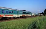 610 019  bei Hersbruck  01.06.96