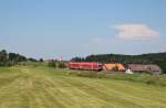 Am 27.Juli 2013 war 612 004 zwischen Rthenbach(Allgu) und Heimenkirch als RE auf dem Weg nach Lindau Hbf.