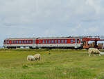 Der an einen Autozug angehängte Dieseltriebzug 628 521  Archsum  ist hier auf seinen ersten Metern auf dem Festland zu sehen. (Friedrich-Wilhelm-Lübke-Koog, Juni 2024)