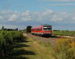 628 304 als RB 18831, Neustadt(Wstr) Hbf - Wissembourg, zwischen Maikammer/Kirrweiler und Edenkoben. 05.09.2009