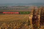 628 229 der Westfrankenbahn, unterwegs auf der Landesbahn in Niedersterreich.