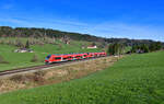 633 038 am 20.03.2024 bei Ellenberg.