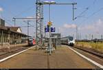 642 025 (Siemens Desiro Classic) der Nordthüringenbahn (DB Regio Südost) als RE 16579 (RE56) nach Erfurt Hbf trifft auf 9442 118 (Bombardier Talent 2) von Abellio Rail Mitteldeutschland als RB 74812 (RB51) nach Heilbad Heiligenstadt in ihrem Startbahnhof Nordhausen.
[3.8.2018 | 15:28 Uhr]