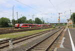 Pausierende Triebwagen der BR 642 und die Flügelsignale F102 / F101, am 05.07.2024 in Hanau Hbf.