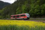 642 028 als RB Saalfeld-Blankenstein am 12.05.2010 bei Hockeroda.