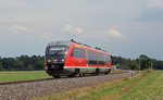 642 009 rollte am 31.07.16 als RB von Bad Lausick nach Leipzig durch Belgershain.