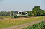 VT14 als OPB79742 von Regensburg Hbf nach Marktredwitz im Abendlicht bei Oberteich, 01.07.2015