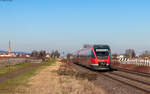 643 006  Horst Eckel  und 643 007  Saidt  als RE 12029 (Neustadt(W) Hbf - Karlsruhe Hbf) bei Edenkoben 14.1.25