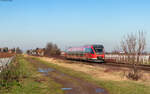 643 008  Schopp  als RB 12411 (Neustadt(W) Hbf - Karlsruhe Hbf) bei Edenkoben 14.1.25