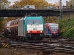 Cobra 186 204 am 03.11.2010 mit einem gemischten Gterzug bei der einfahrt in Aachen West.