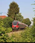 Eingerahmt vom Grün fahren 644 049 und 644 ??? (Bombardier Talent) von DB Regio Baden-Württemberg als verspätete RB 17374 von Waldshut nach Basel Bad Bf (CH) in Grenzach-Wyhlen auf der