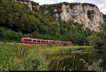 Nachschuss auf 644 037-3 und 644 022-5 (Bombardier Talent) am Mühlgraben in Neidingen (Beuron).