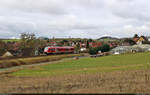 648 270-6 (Alstom Coradia LINT 41) lässt den Bad Lauterberger Ortsteil Barbis hinter sich.