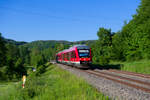 648 317 DB Regio als RB 58530 (Neuhaus (Pegnitz) - Nürnberg Hbf) bei Vorra, 14.06.2021