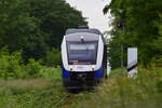 648 438 kämpft sich durch den grünen Dschungel von Duisburg Meiderich auf den Weg nach Oberhausen.